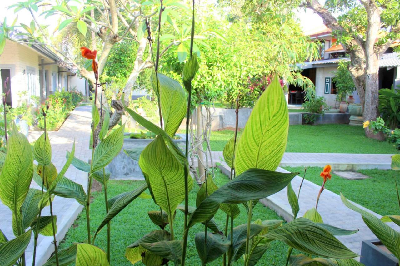 Morning Star Resorts Negombo Bagian luar foto